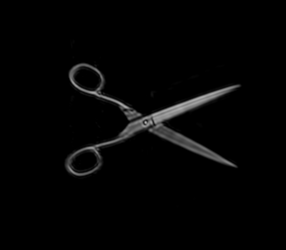 Scissors good